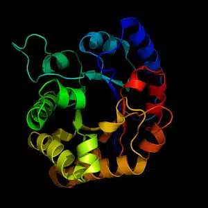  آنزیم (Enzyme) 