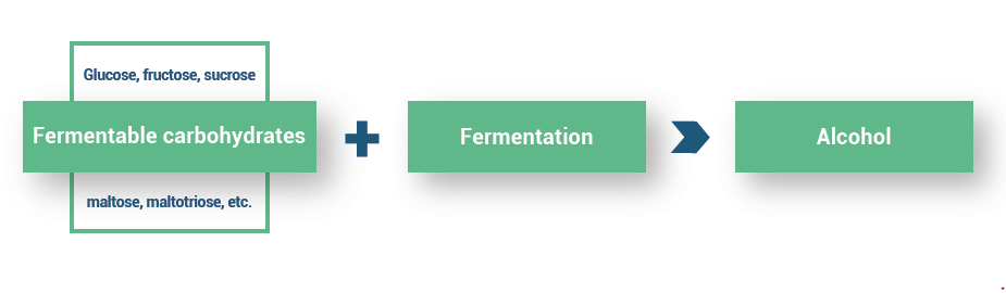 A look at the fermentation process in a fermentor