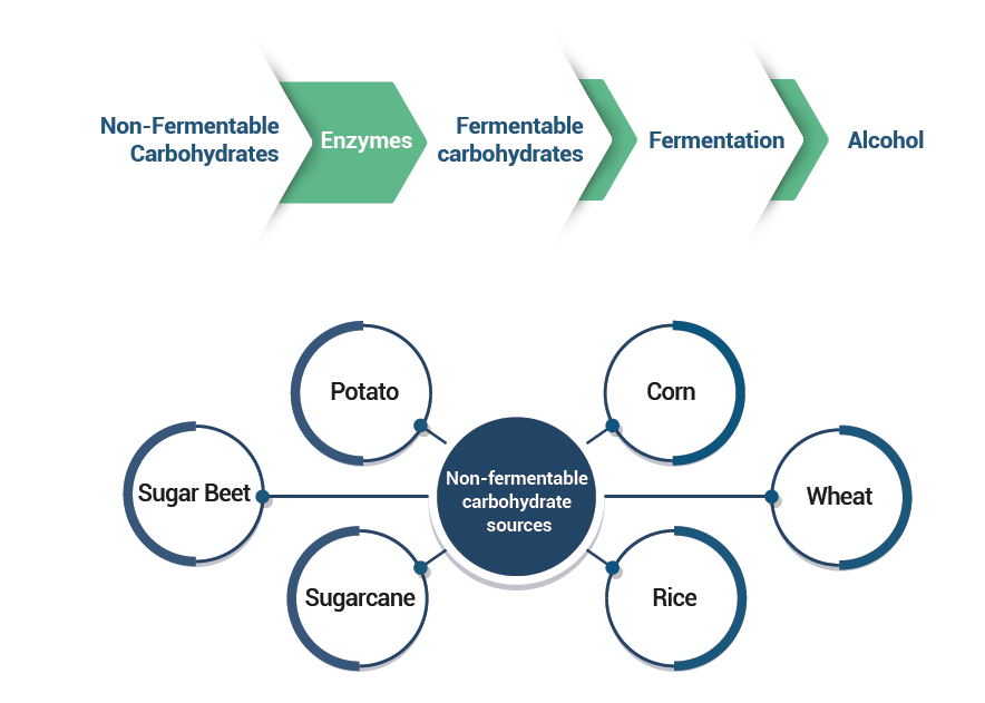 Conversion of non-fermentable carbohydrate sources into fermentable carbohydrates